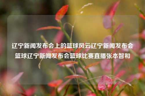 辽宁新闻发布会上的篮球风云辽宁新闻发布会篮球辽宁新闻发布会篮球比赛直播张本智和