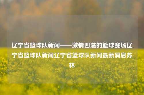 辽宁省篮球队新闻——激情四溢的篮球赛场辽宁省篮球队新闻辽宁省篮球队新闻最新消息苏林