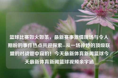 篮球赛事概览与热门话题——从顶级联赛的激烈对决到新兴球员的崭露头角，再到科技在篮球领域的应用与创新发展。