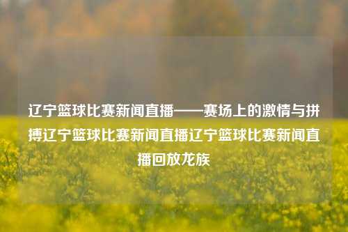 辽宁篮球比赛新闻直播——赛场上的激情与拼搏辽宁篮球比赛新闻直播辽宁篮球比赛新闻直播回放龙族