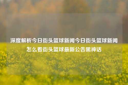 深度解析今日街头篮球新闻今日街头篮球新闻怎么看街头篮球最新公告黑神话