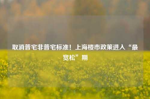 取消普宅非普宅标准！上海楼市政策进入“最宽松”期