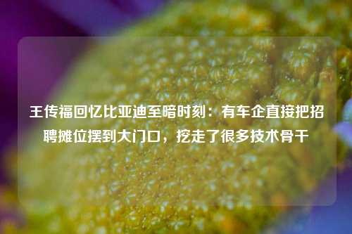 王传福回忆比亚迪至暗时刻：有车企直接把招聘摊位摆到大门口，挖走了很多技术骨干