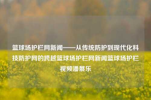 篮球场护栏网新闻——从传统防护到现代化科技防护网的跨越篮球场护栏网新闻篮球场护栏视频潘展乐