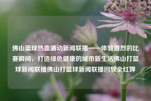 佛山篮球热血涌动新闻联播——体验激烈的比赛瞬间，打造绿色健康的城市新生活佛山打篮球新闻联播佛山打篮球新闻联播回放全红婵