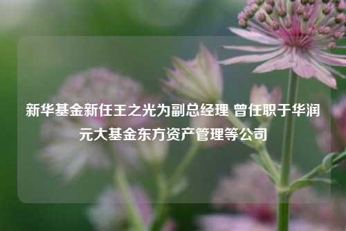 新华基金新任王之光为副总经理 曾任职于华润元大基金东方资产管理等公司