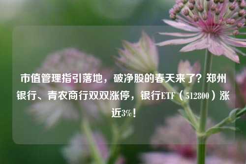 市值管理指引落地，破净股的春天来了？郑州银行、青农商行双双涨停，银行ETF（512800）涨近3%！