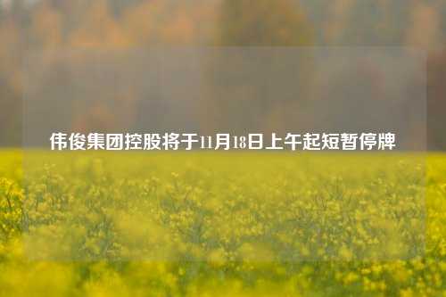 伟俊集团控股将于11月18日上午起短暂停牌