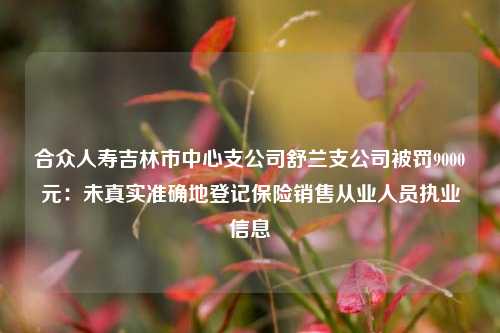 合众人寿吉林市中心支公司舒兰支公司被罚9000元：未真实准确地登记保险销售从业人员执业信息