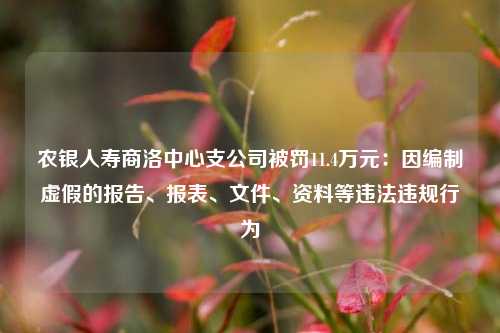 农银人寿商洛中心支公司被罚11.4万元：因编制虚假的报告、报表、文件、资料等违法违规行为