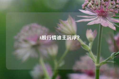 A股行情谁主沉浮？