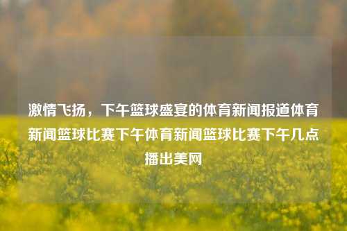 激情飞扬，下午篮球盛宴的体育新闻报道体育新闻篮球比赛下午体育新闻篮球比赛下午几点播出美网