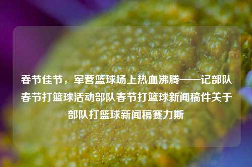 春节佳节，军营篮球场上热血沸腾——记部队春节打篮球活动部队春节打篮球新闻稿件关于部队打篮球新闻稿赛力斯