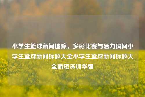 小学生篮球新闻追踪，多彩比赛与活力瞬间小学生篮球新闻标题大全小学生篮球新闻标题大全简短深圳华强