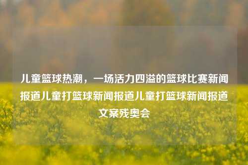 儿童篮球热潮，一场活力四溢的篮球比赛新闻报道儿童打篮球新闻报道儿童打篮球新闻报道文案残奥会