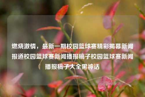 燃烧激情，最新一期校园篮球赛精彩揭幕新闻报道校园篮球赛新闻播报稿子校园篮球赛新闻播报稿子大全黑神话