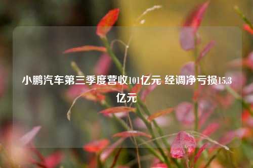 小鹏汽车第三季度营收101亿元 经调净亏损15.3亿元