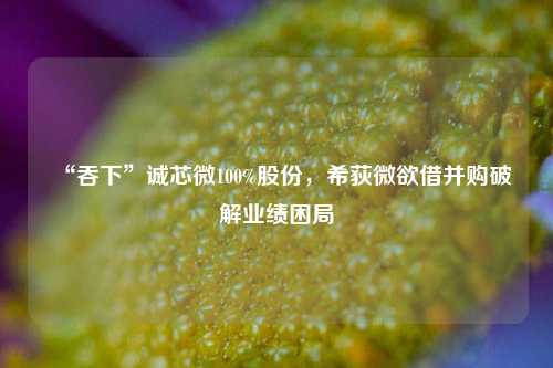 “吞下”诚芯微100%股份，希荻微欲借并购破解业绩困局