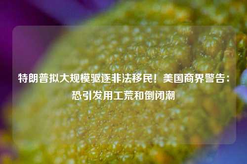 特朗普拟大规模驱逐非法移民！美国商界警告：恐引发用工荒和倒闭潮