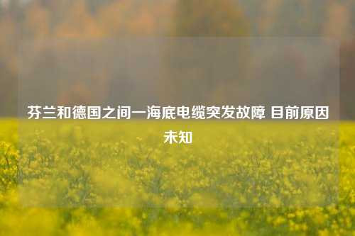 芬兰和德国之间一海底电缆突发故障 目前原因未知