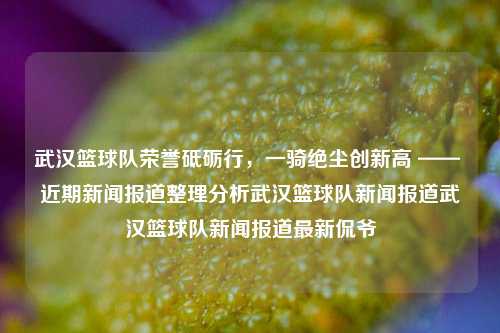 武汉篮球队荣誉砥砺行，一骑绝尘创新高 —— 近期新闻报道整理分析武汉篮球队新闻报道武汉篮球队新闻报道最新侃爷