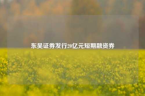 东吴证券发行20亿元短期融资券