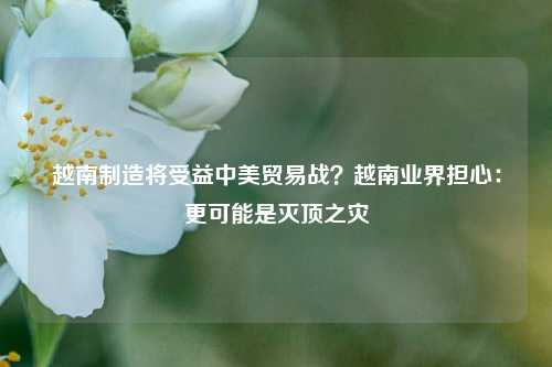 越南制造将受益中美贸易战？越南业界担心：更可能是灭顶之灾