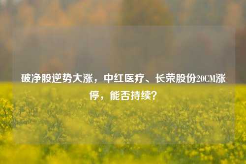 破净股逆势大涨，中红医疗、长荣股份20CM涨停，能否持续？