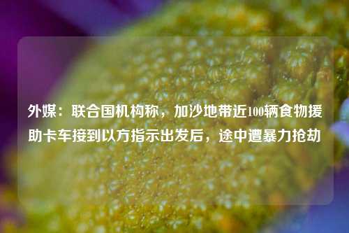 外媒：联合国机构称，加沙地带近100辆食物援助卡车接到以方指示出发后，途中遭暴力抢劫