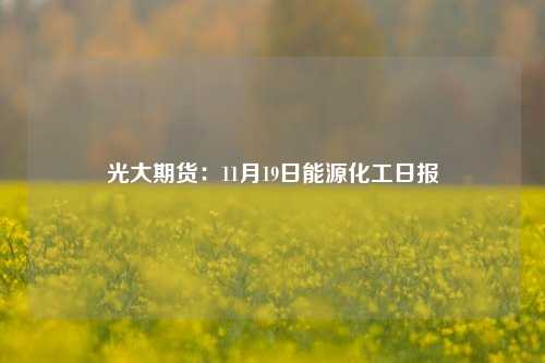 光大期货：11月19日能源化工日报