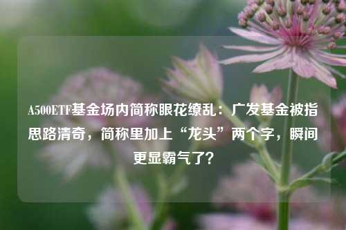 A500ETF基金场内简称眼花缭乱：广发基金被指思路清奇，简称里加上“龙头”两个字，瞬间更显霸气了？