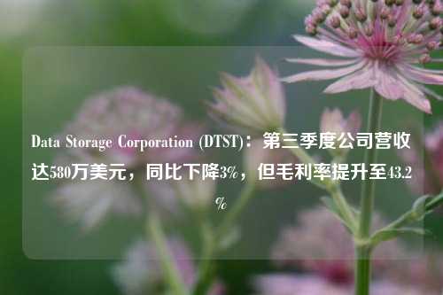 Data Storage Corporation (DTST)：第三季度公司营收达580万美元，同比下降3%，但毛利率提升至43.2%