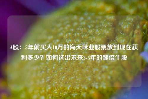 A股：5年前买入10万的海天味业股票放到现在获利多少？如何选出未来3-5年的翻倍牛股