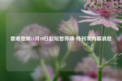 香港宽频11月19日起短暂停牌 待刊发内幕消息