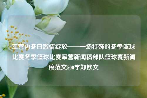 军营内冬日激情绽放——一场特殊的冬季篮球比赛冬季篮球比赛军营新闻稿部队篮球赛新闻稿范文500字郑钦文