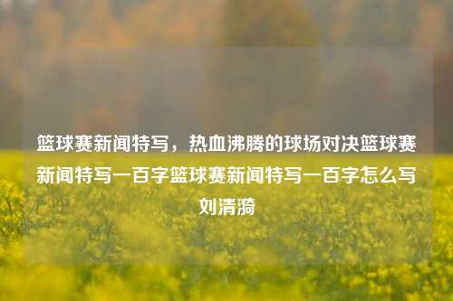 篮球赛新闻特写，热血沸腾的球场对决篮球赛新闻特写一百字篮球赛新闻特写一百字怎么写刘清漪