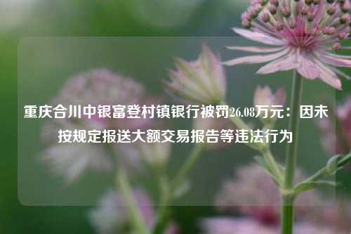 重庆合川中银富登村镇银行被罚26.08万元：因未按规定报送大额交易报告等违法行为