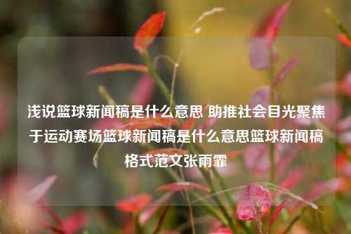 浅说篮球新闻稿是什么意思 助推社会目光聚焦于运动赛场篮球新闻稿是什么意思篮球新闻稿格式范文张雨霏