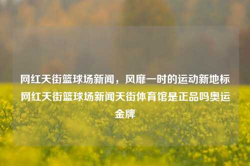 网红天街篮球场新闻，风靡一时的运动新地标网红天街篮球场新闻天街体育馆是正品吗奥运金牌