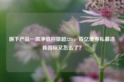 旗下产品一周净值回撤超22%，百亿债券私募洛肯国际又怎么了？