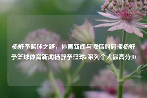 杨舒予篮球之路，体育新闻与激情的碰撞杨舒予篮球体育新闻杨舒予篮球u系列个人最高分JD