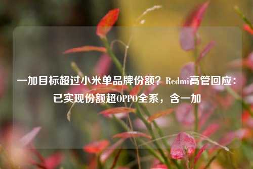 一加目标超过小米单品牌份额？Redmi高管回应：已实现份额超OPPO全系，含一加