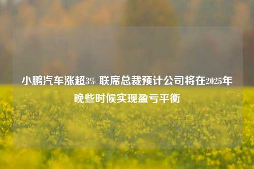 小鹏汽车涨超3% 联席总裁预计公司将在2025年晚些时候实现盈亏平衡