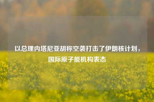 以总理内塔尼亚胡称空袭打击了伊朗核计划，国际原子能机构表态