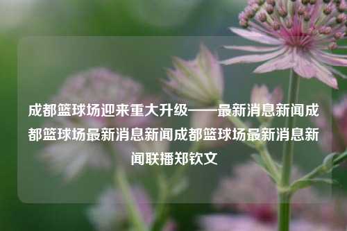 成都篮球场迎来重大升级——最新消息新闻成都篮球场最新消息新闻成都篮球场最新消息新闻联播郑钦文