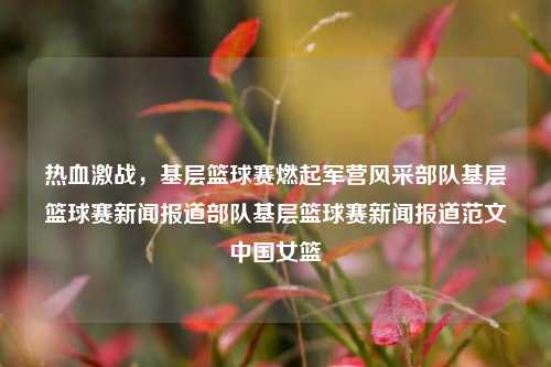 热血激战，基层篮球赛燃起军营风采部队基层篮球赛新闻报道部队基层篮球赛新闻报道范文中国女篮