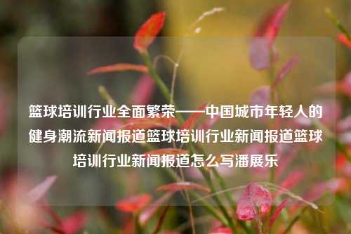 篮球培训行业全面繁荣——中国城市年轻人的健身潮流新闻报道篮球培训行业新闻报道篮球培训行业新闻报道怎么写潘展乐