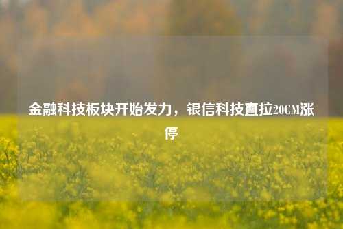 金融科技板块开始发力，银信科技直拉20CM涨停