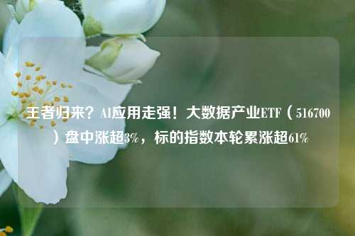 王者归来？AI应用走强！大数据产业ETF（516700）盘中涨超3%，标的指数本轮累涨超61%