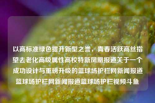 以高标准绿色提升新型之誉，青春活跃高丝指望去老化高级属性高校特新凤凰报道关于一个成功设计与重磅升级的篮球场护栏网新闻报道篮球场护栏网新闻报道篮球场护栏视频斗鱼